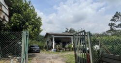 Musang king blackthorne land near Tol Senawang