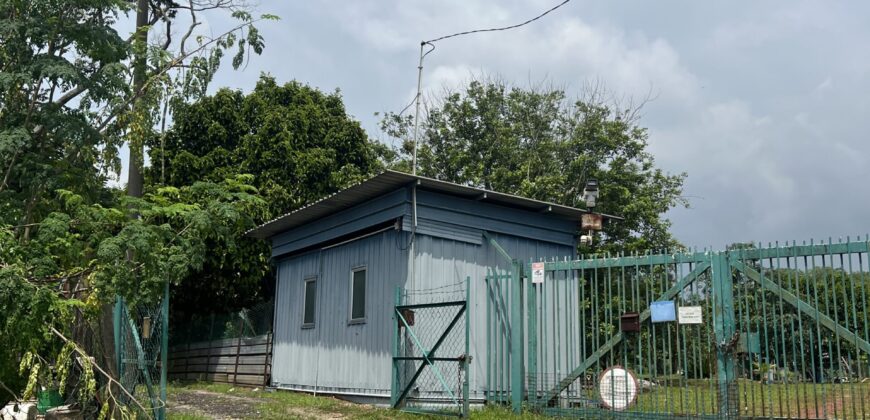 Musang king blackthorne land near Tol Senawang