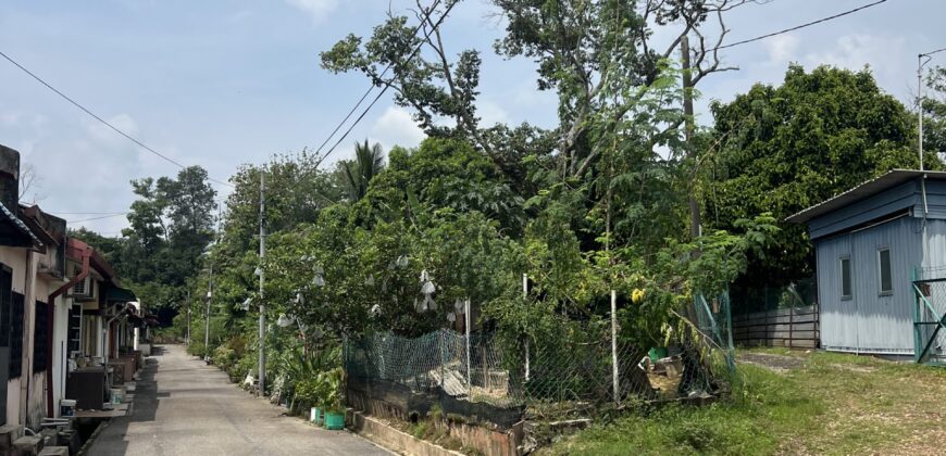 Musang king blackthorne land near Tol Senawang